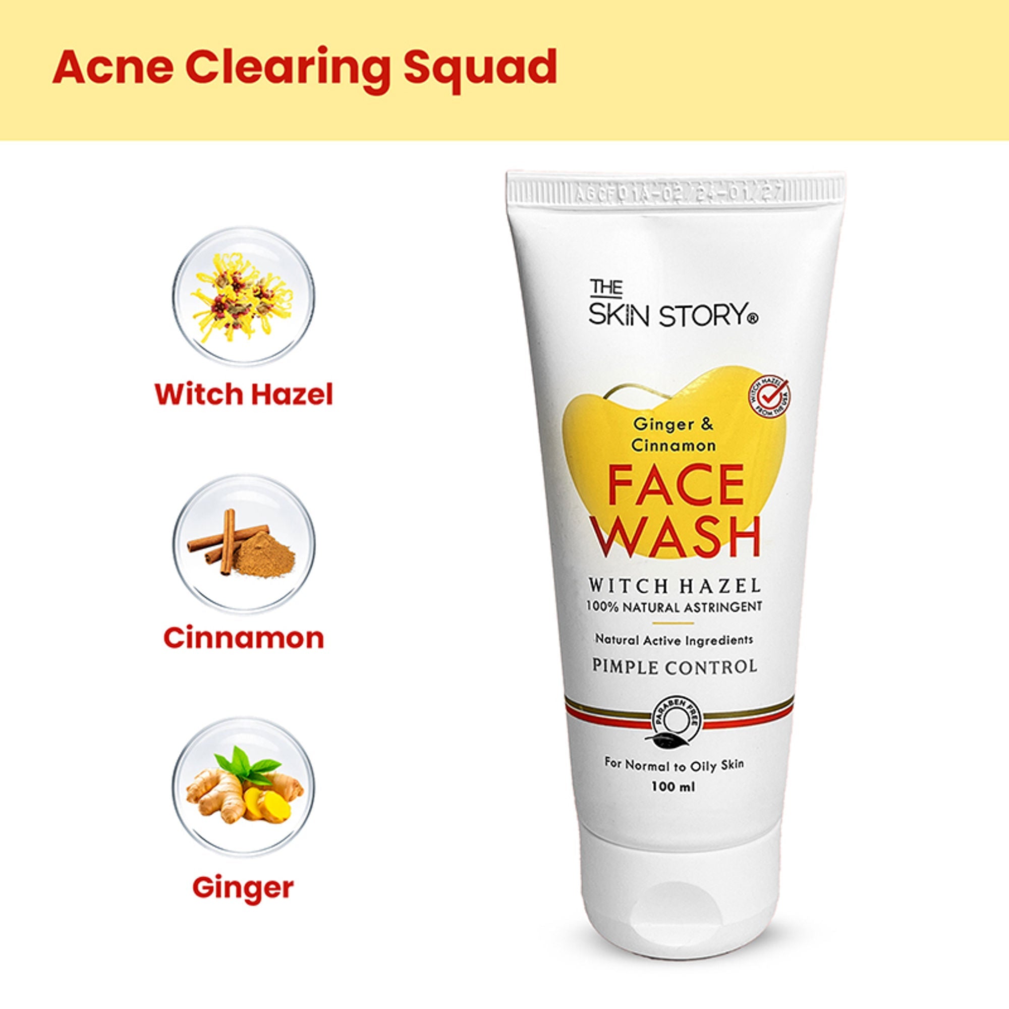 The Skin Story Oil & Pimple Control Ginger Cinnamon Face Wash