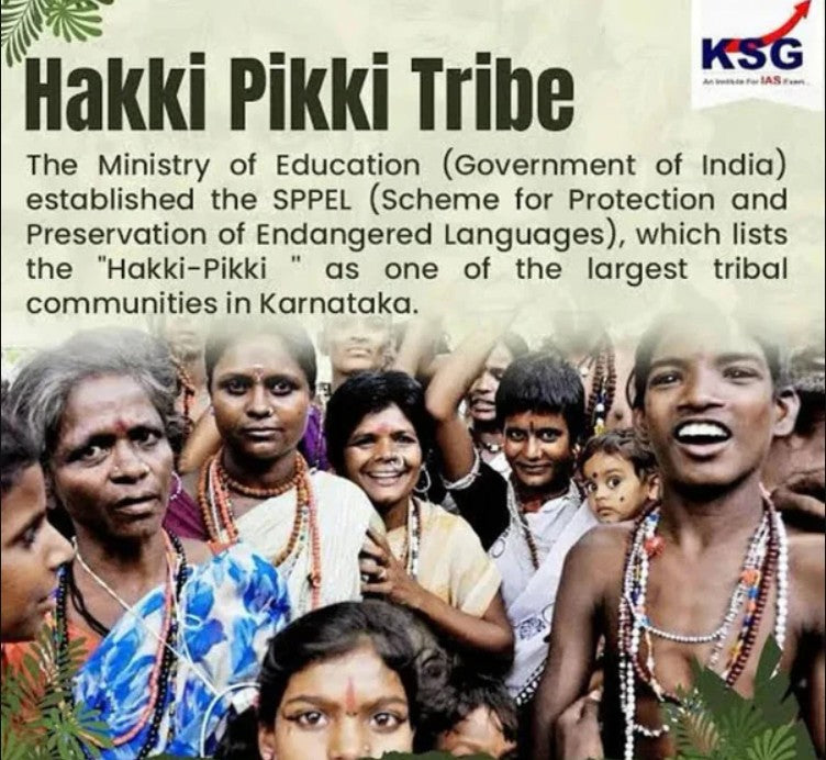 Original Adivasi Hakki Pikki Hair Oil
