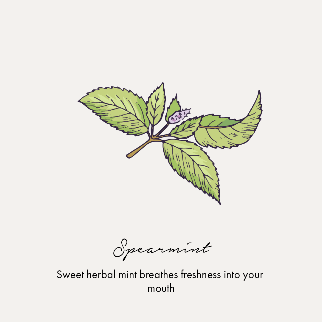 Birdsong Botanical Sea Salt and Spearmint Toothpaste