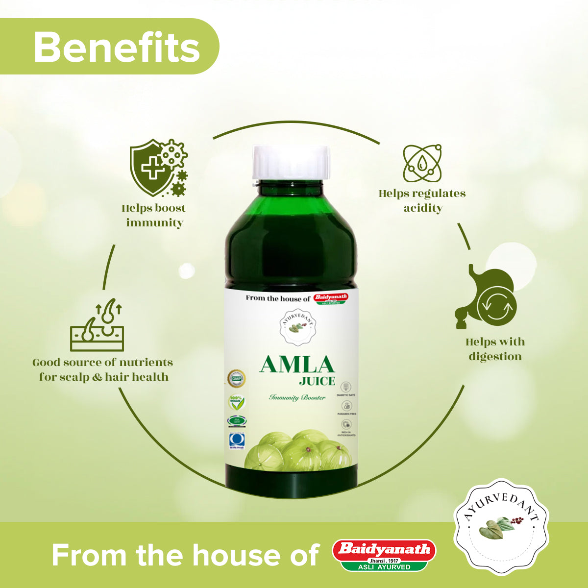 Ayurvedant Amla Juice - Image 3