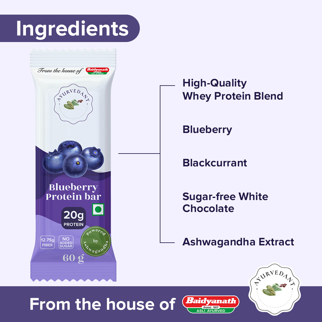 Ayurvedant Blueberry Protein Bars Pack of-6 - Image 2