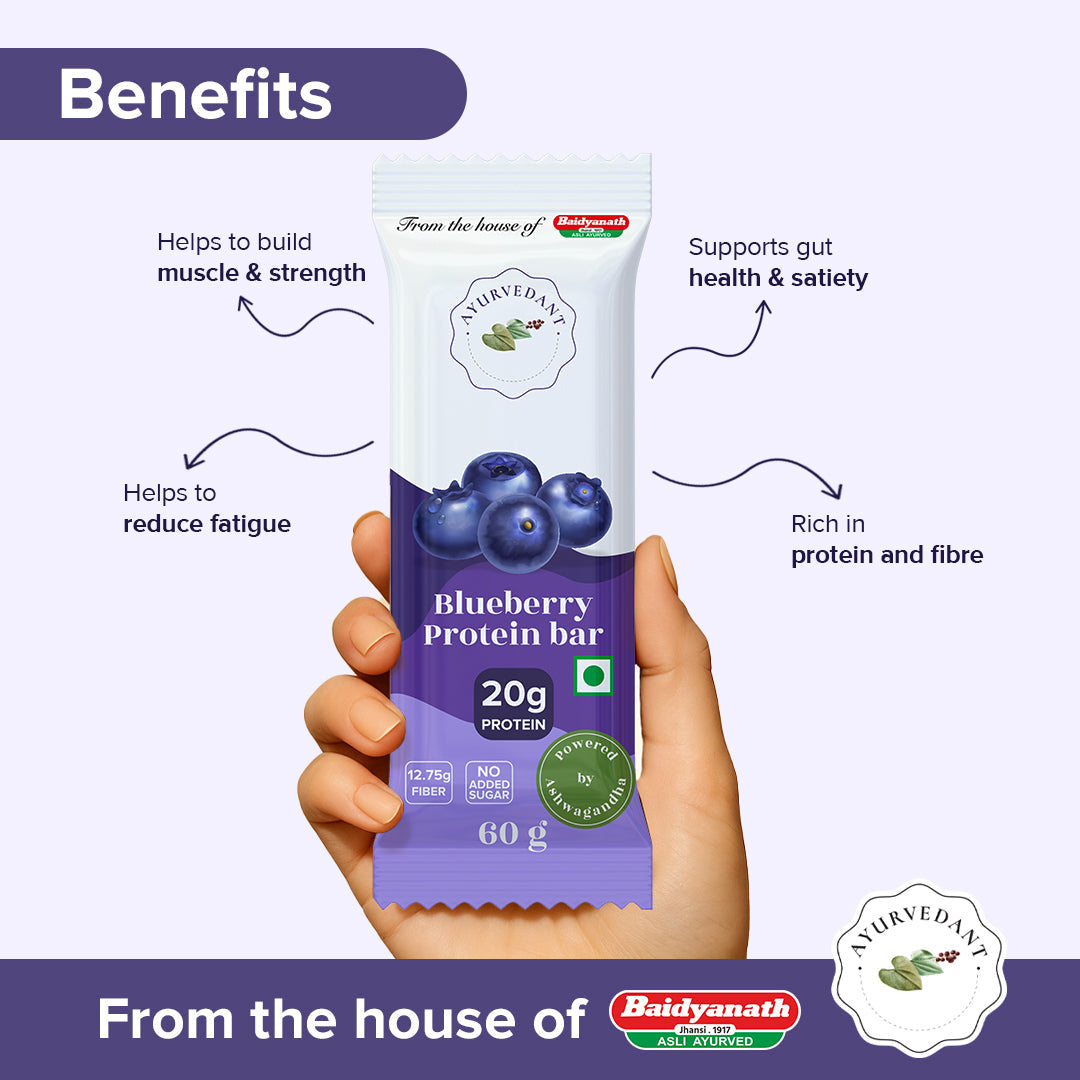 Ayurvedant Blueberry Protein Bars Pack of-6 - Image 3