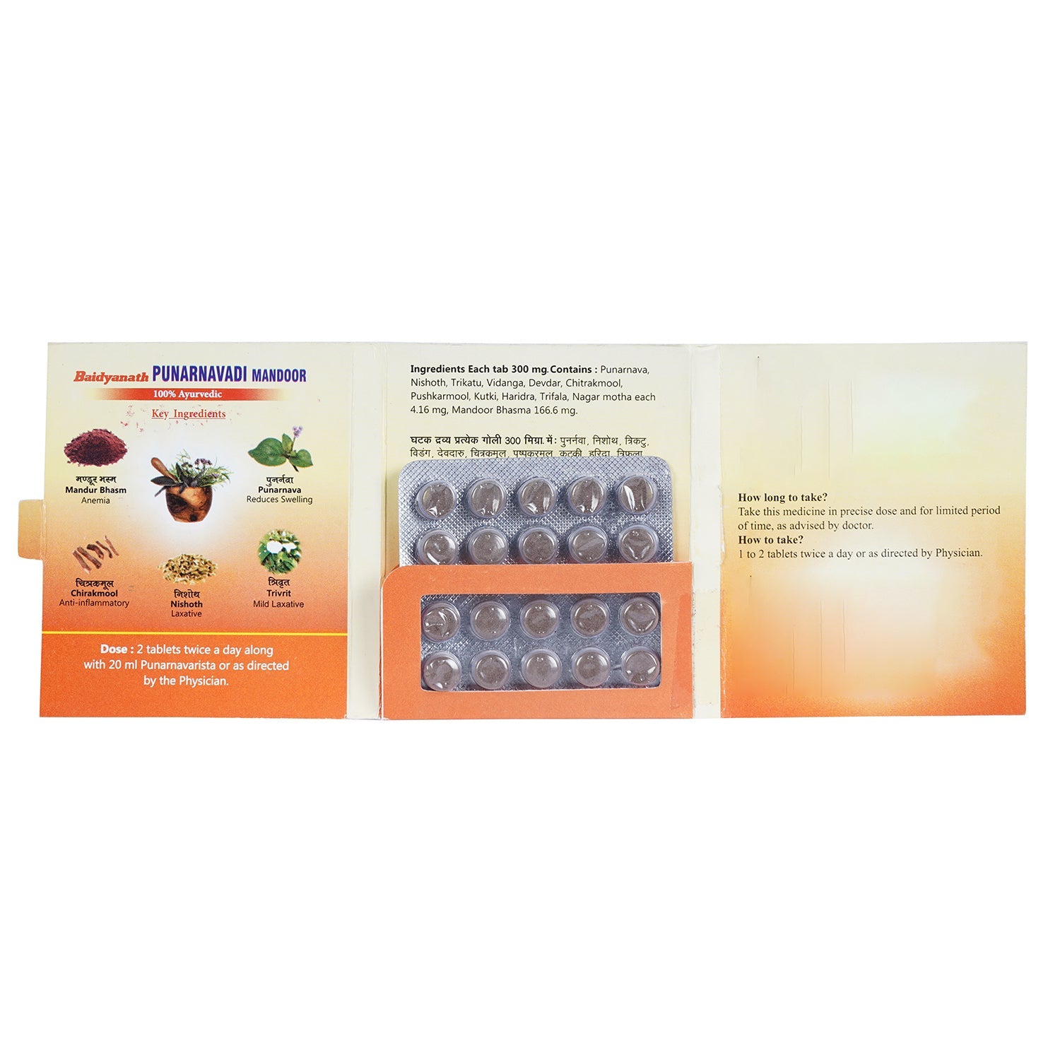 Baidyanath Punarnawadi Mandoor - Image 3