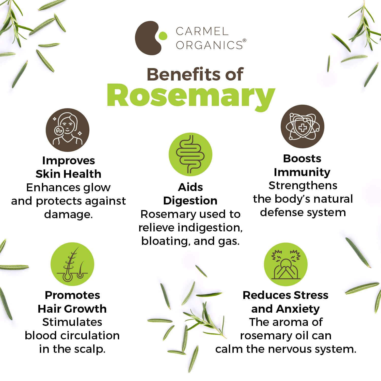 CARMEL ORGANICS Rosemary Leaves (100 Gram)