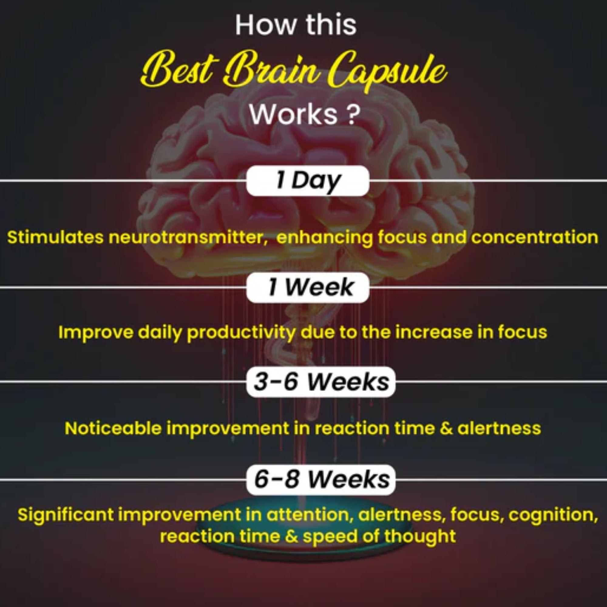 Cipzer Best Brain Capsules