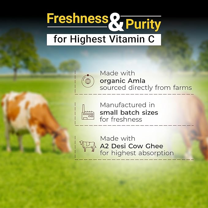 Cureveda Herbal Pureprash | Sugar-Free Chyawanprash with Jaggery and A2 Ghee (500 gm)