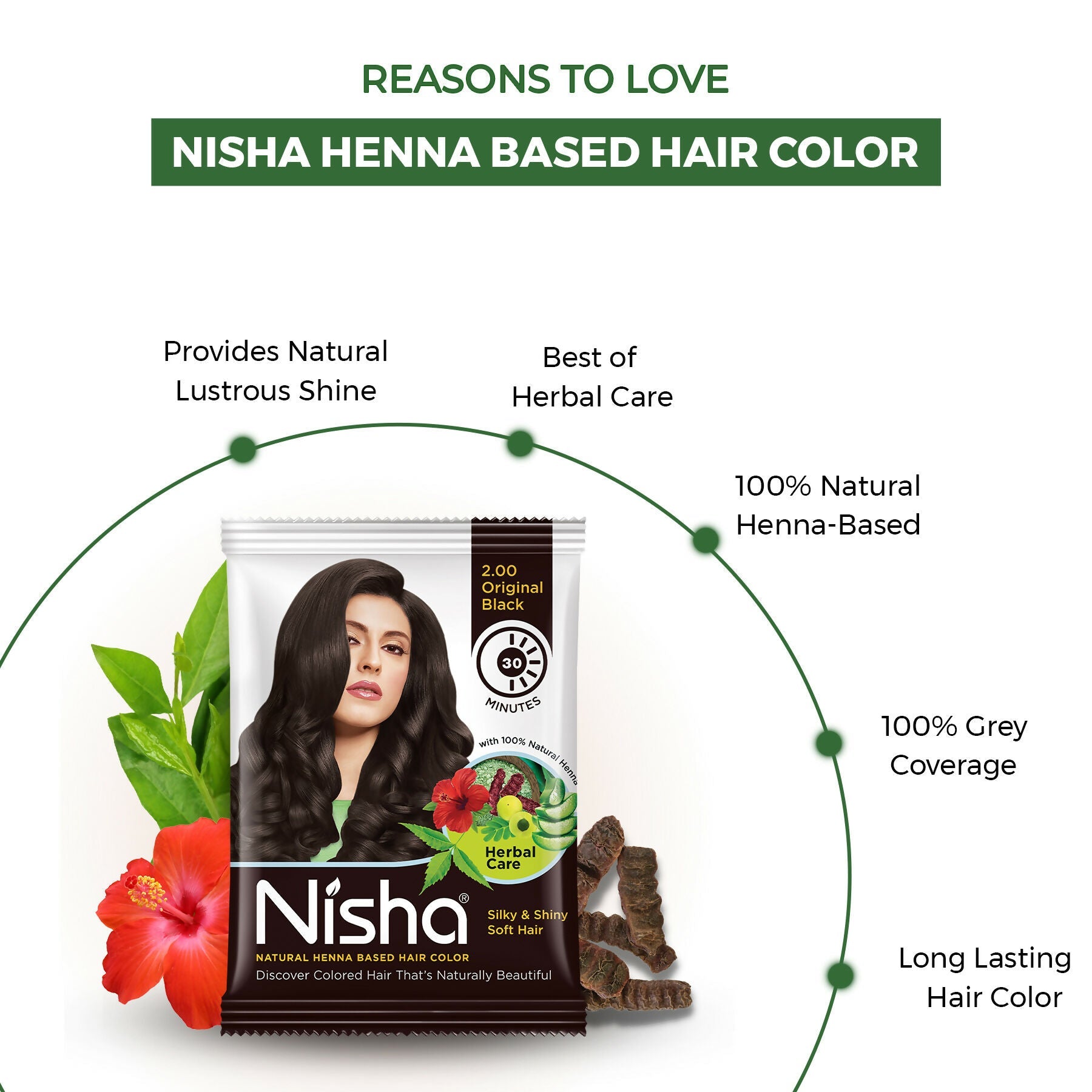 Nisha Henna Based Hair Colour for Women & Men - Original Black (Pack of 10)