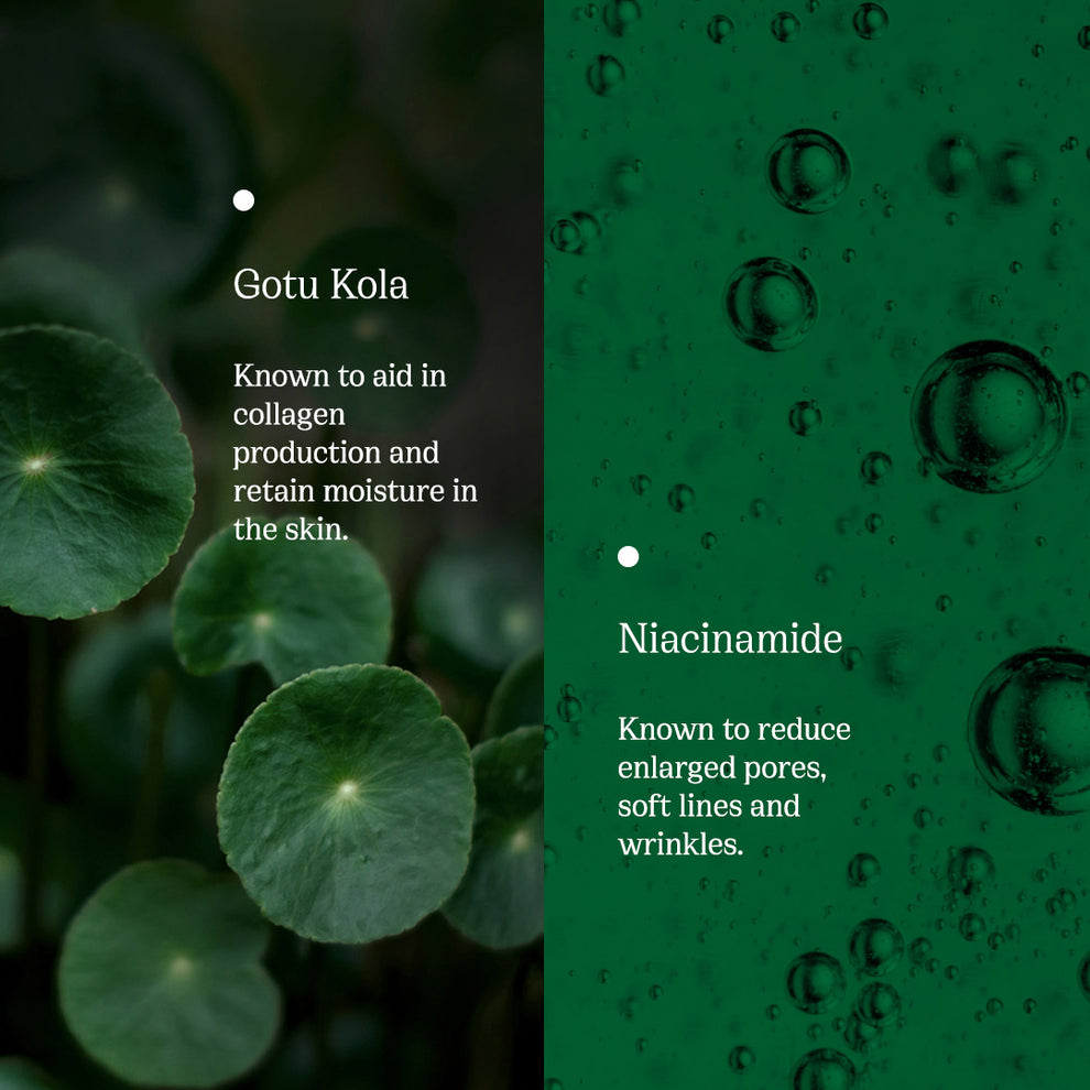 82°E By Deepika Padukone Gotu Kola Dew | Revitalizing Toner Serum with Niacinamide and Gotu Kola