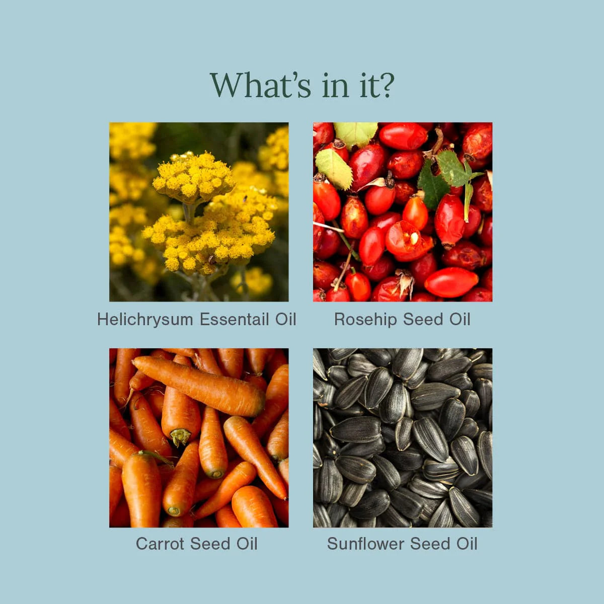 Helichrysum and Rosehip Facial Oil