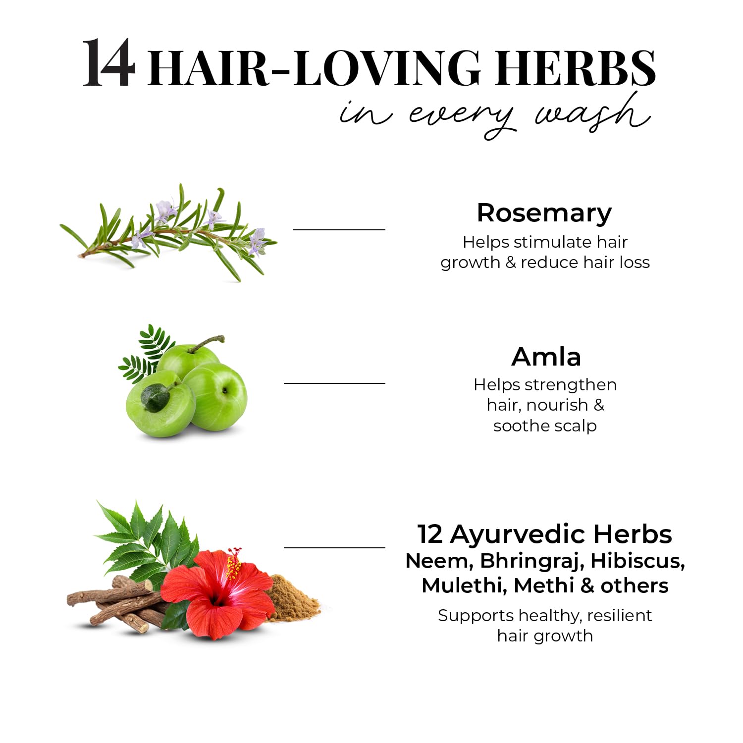 Just Herbs 8 in 1 Root Nourishing Suitable For Oily Hair Scalp