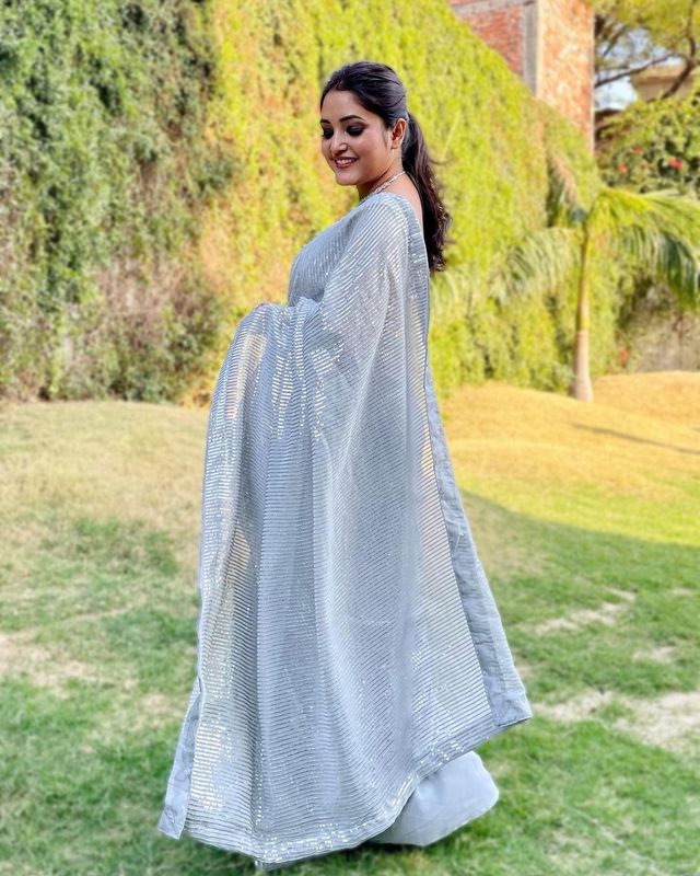 Aastha Grey Soft Organza Beautiful Sequance Embroidery Work