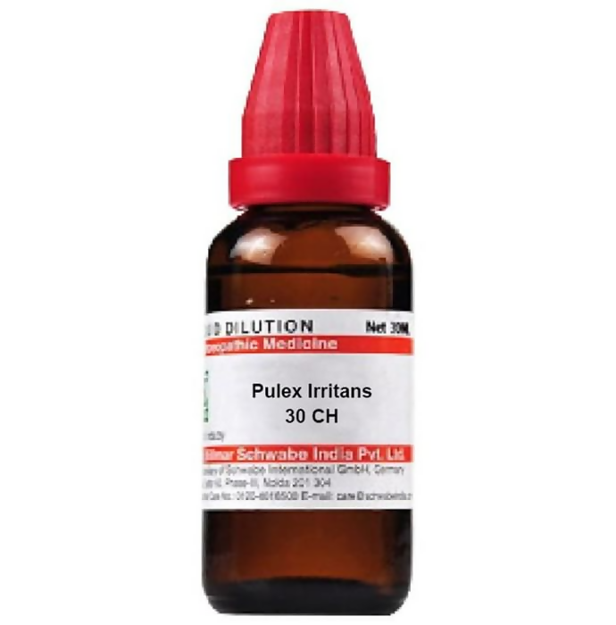 Dr. Willmar Schwabe India Pulex Irritans Dilution