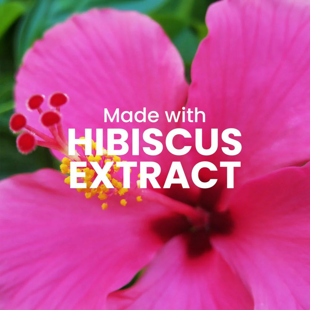 WildOak Pink Hibiscus Shea Butter Sugar Scrub | 300gm | With Ascorbic Acid, Vegan Collagen & Peptides | Tan Removal & Smooth Skin | Removes Dead Skin | Ultra Hydrating, Exfoliating & Moisturising Sugar Body Scrub