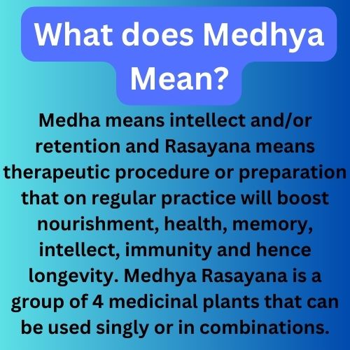 Songara Medhya Rasayana Powder