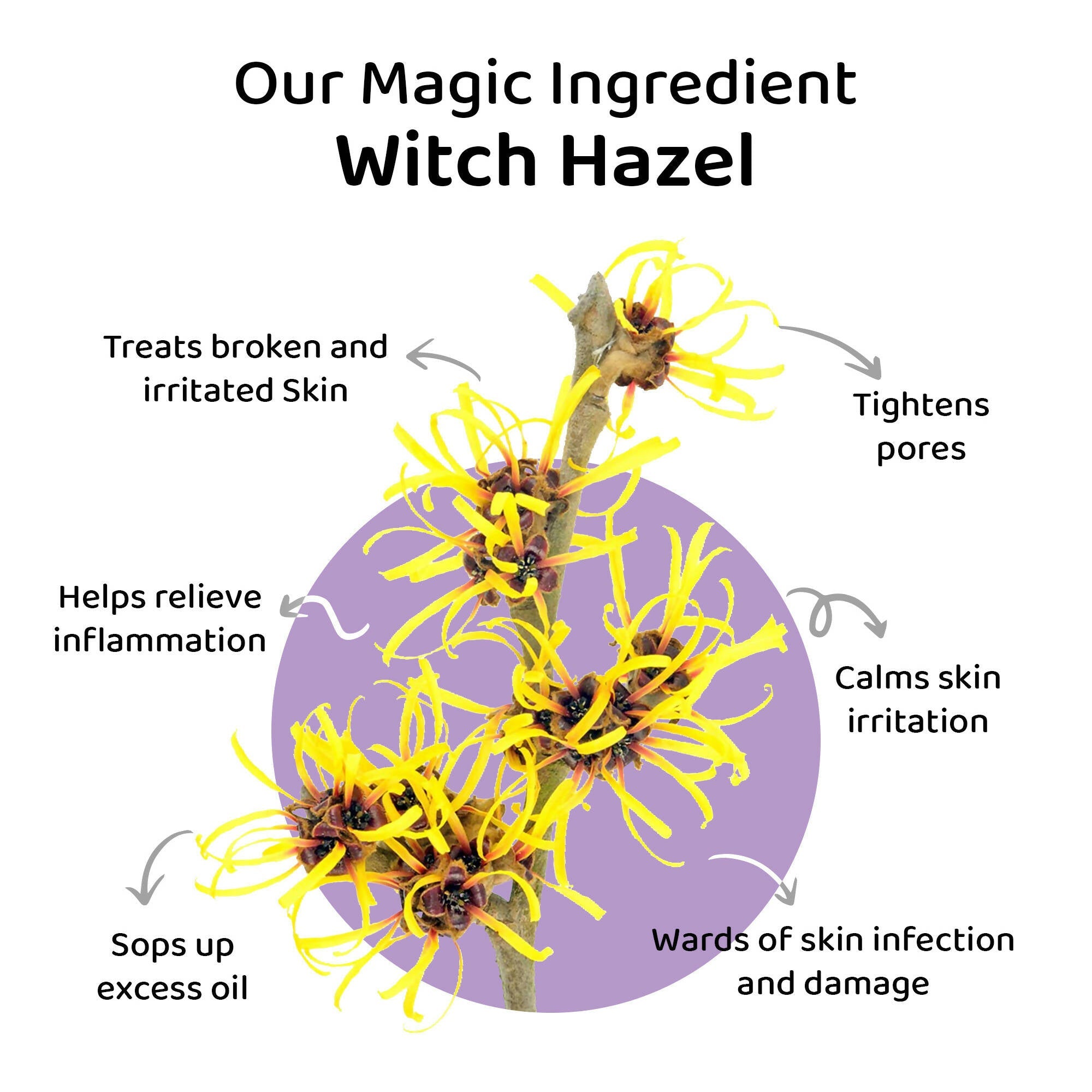 Elitty Eye Gotta Feeling - Art Attack Combo