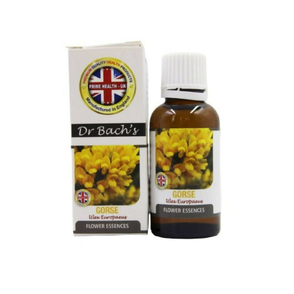 Dr. Bach's Gorse (Pure Essence) Bach Flower