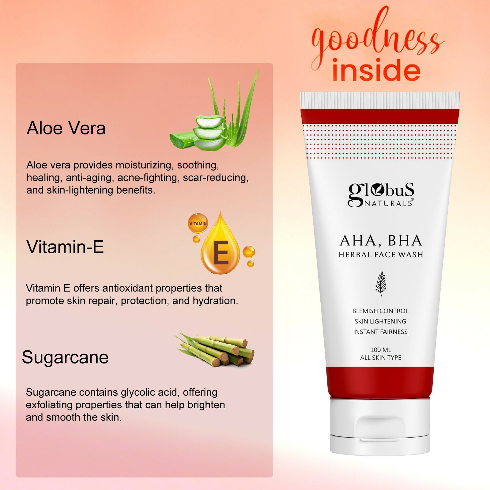 Globus Naturals AHA BHA Herbal Face Wash