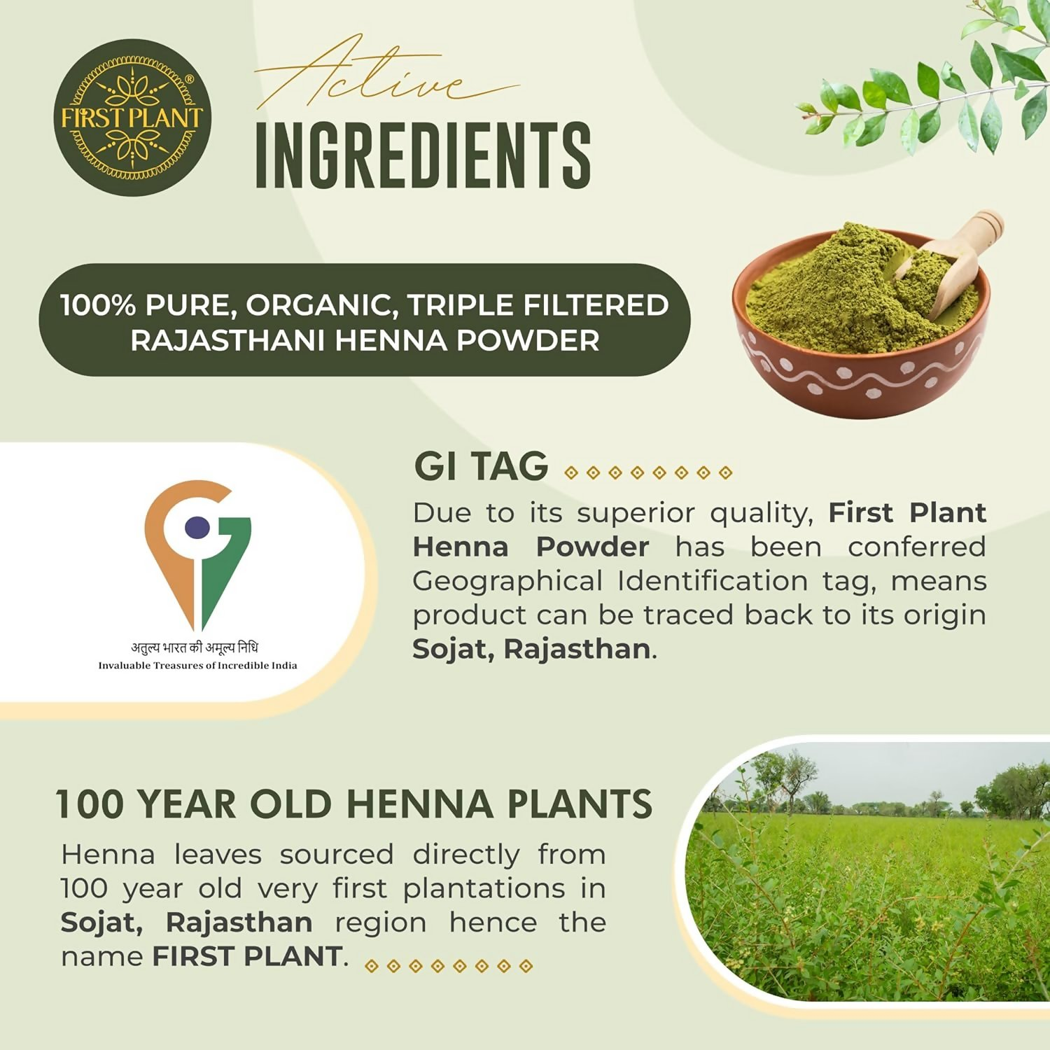 First Plant Premium Rajasthani Henna Powder