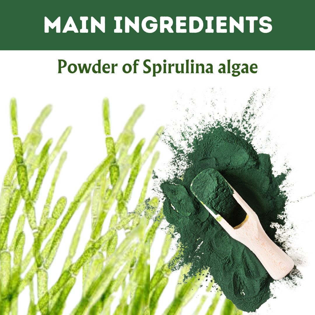 Herbal Hills Ayurveda Spirulina Tablets