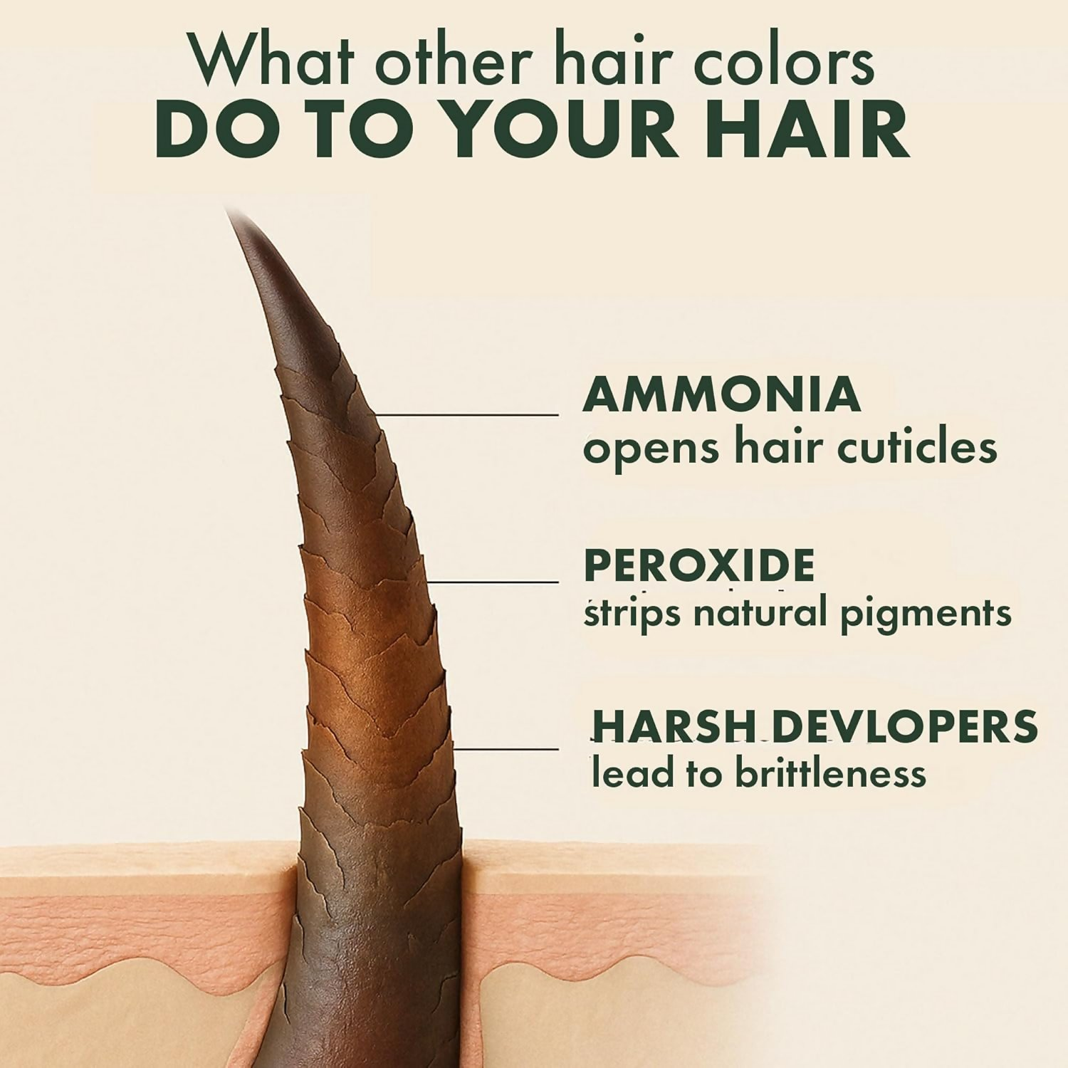 Sacred Herbs Ammonia & PPd Free Natural Organic Gel Dark Brown Hair Color For Men & Women
