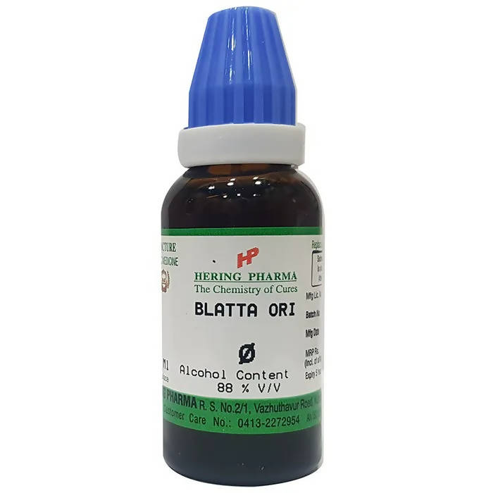 Hering Pharma Blatta Ori Mother Tincture Q