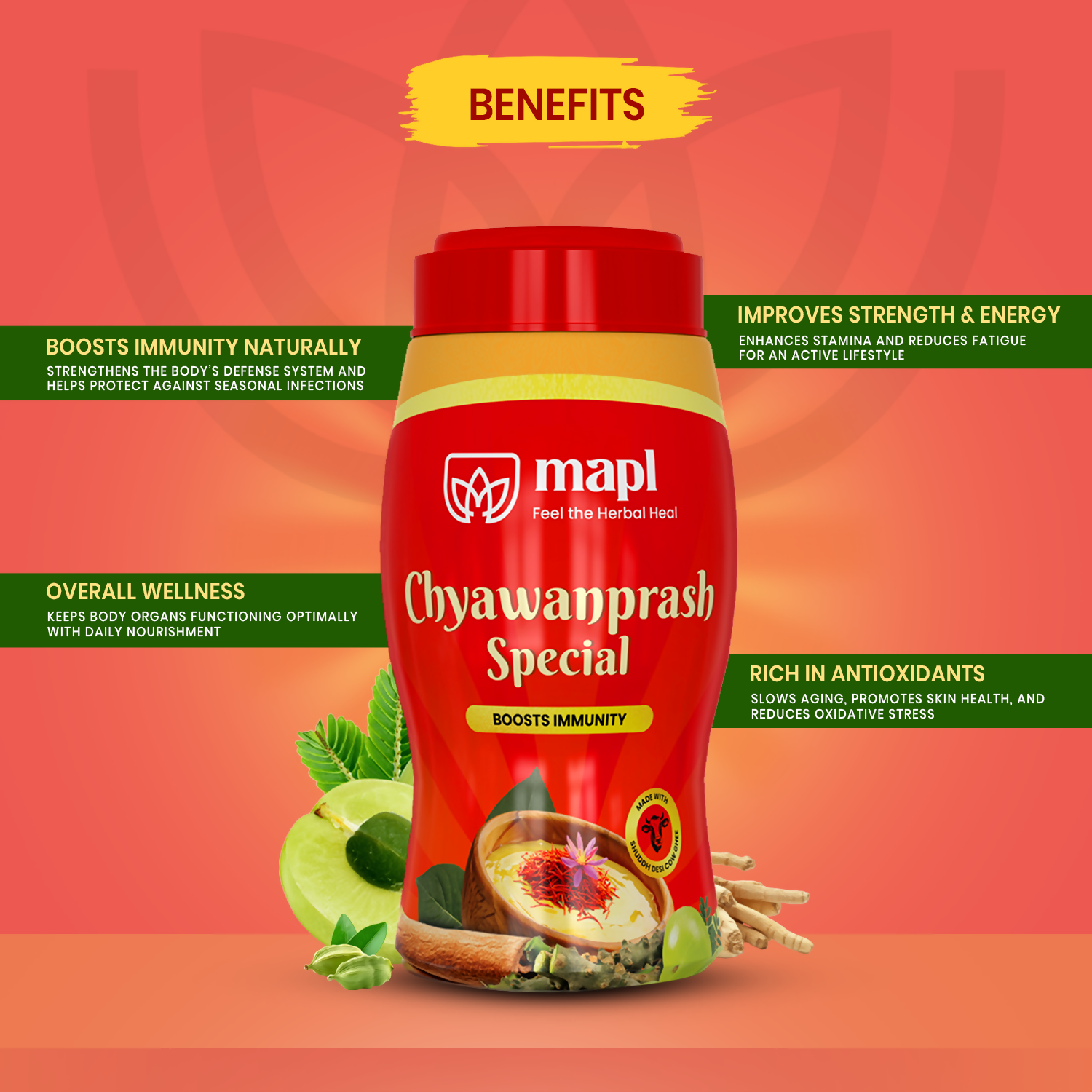 MAPL Chyawanparsh Special