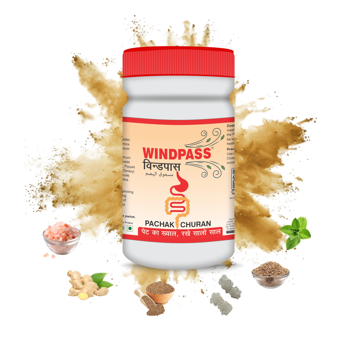 Satya Pharmaceuticals Ayurveda Windpass Pachak Churan