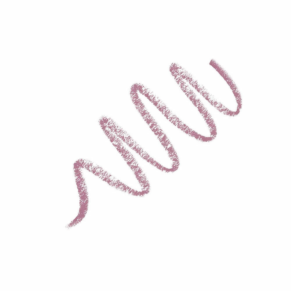 MYGLAMM LIT Matte Lip Liner Pencil (Sass)