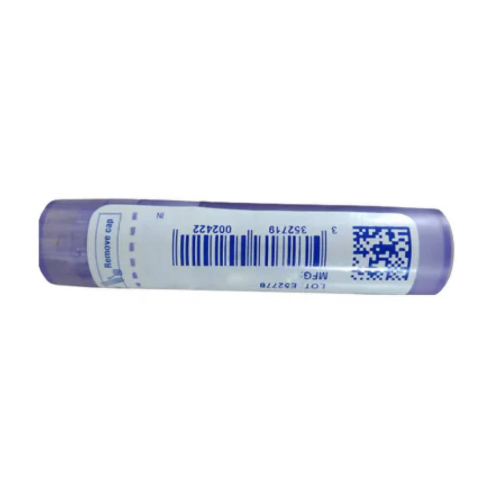 Boiron Homeopathy Bacillus Coli (Colibacillinum) Pellets