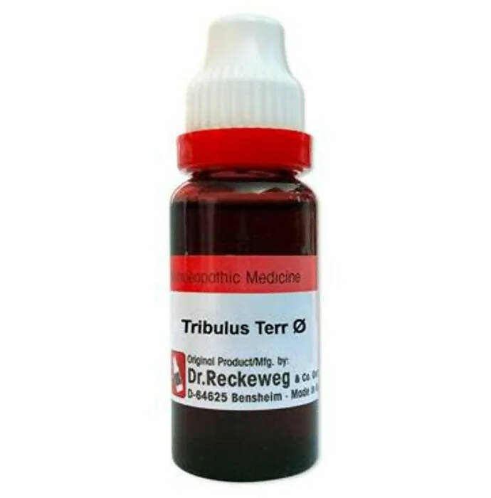 Dr. Reckeweg Gokshura Terr Mother Tincture Q