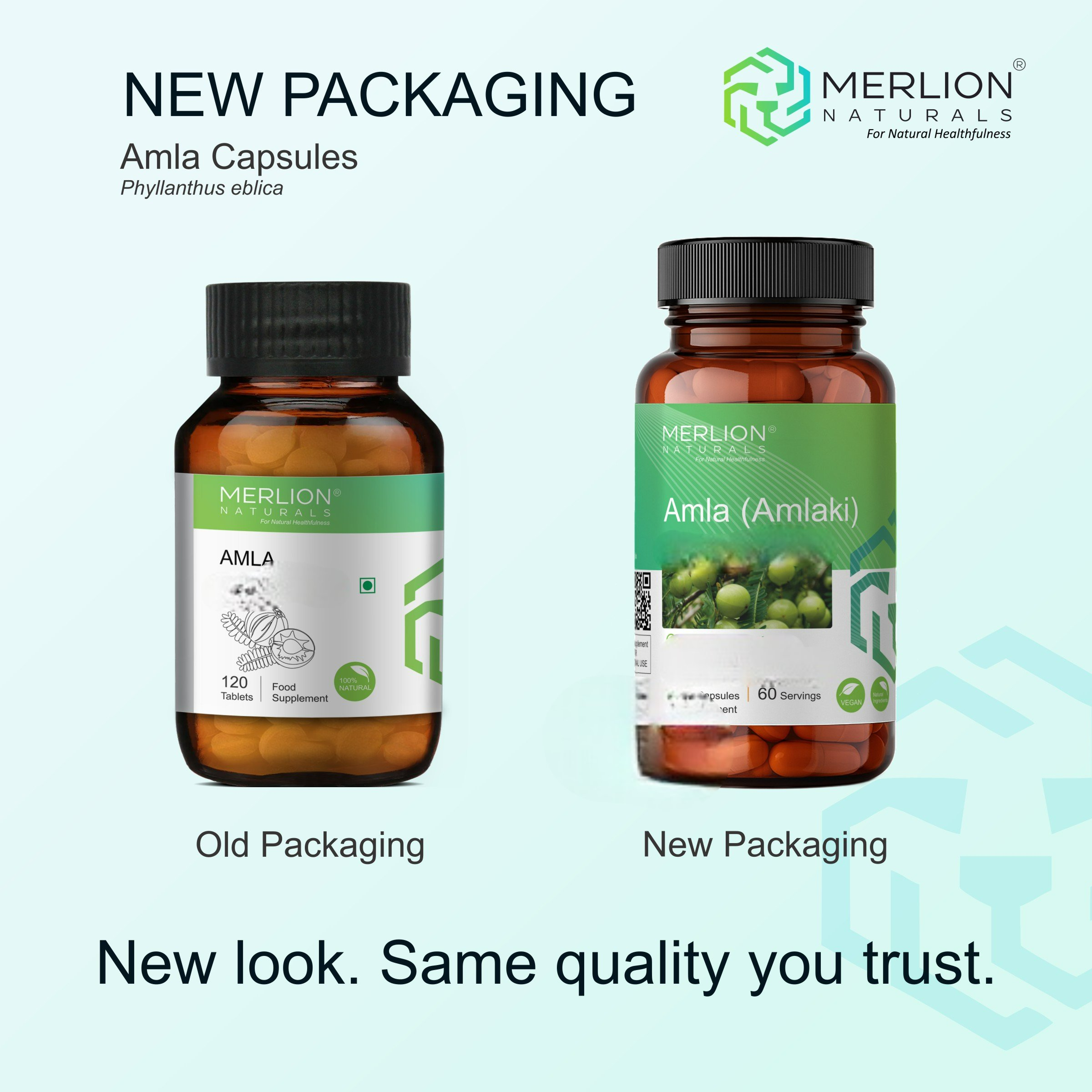 Merlion Naturals Amla 500mg Capsules