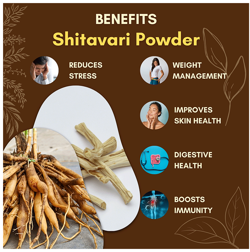 Jaived Ayurveda Shitavari Powder