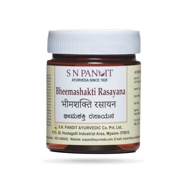 S N Pandit Ayurveda Bheemashakti Rasayana