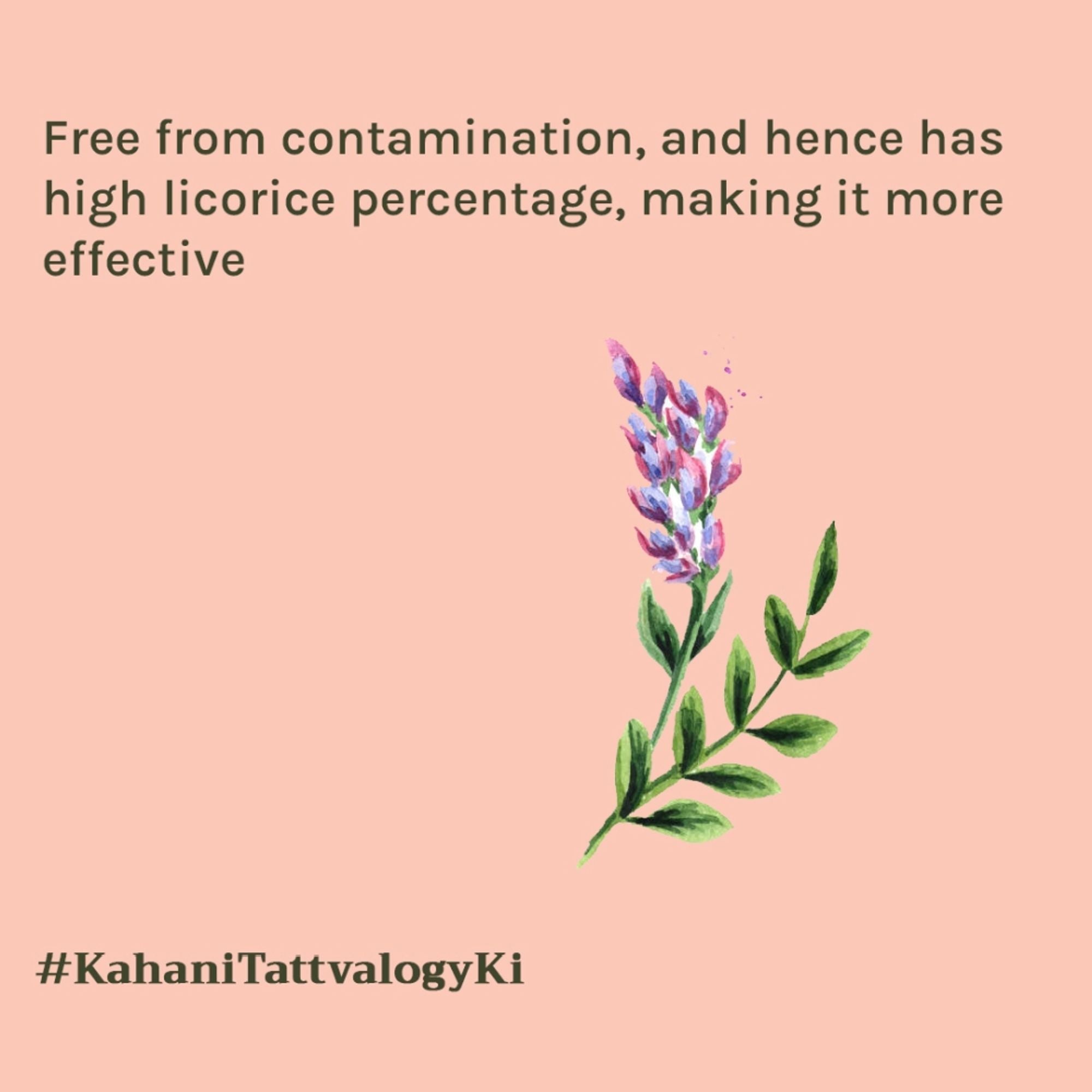 Tattvalogy Licorice Powder - Fades Dark Spots & Pigmentation, Brightens & Evens Skin Tone Naturally