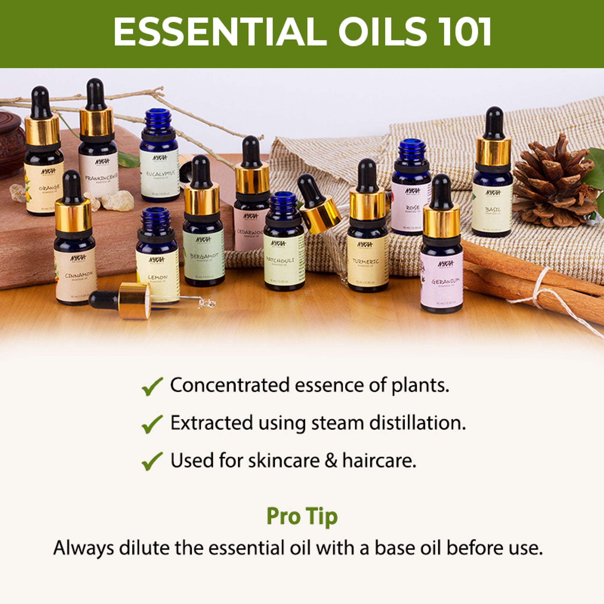 Nykaa Naturals Bestseller Rosemary Essential Oil For Hair Growth & Nourishing Scalp - 100% Natural
