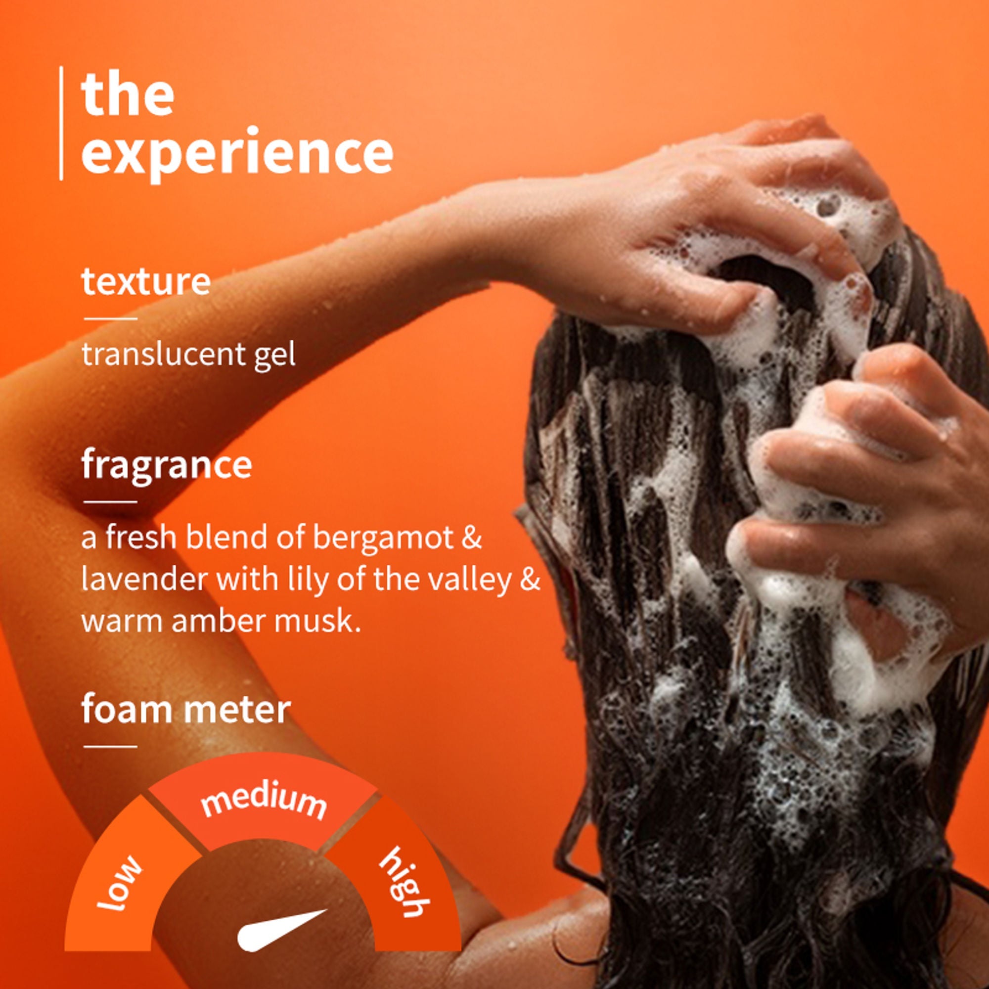 Plum Anti-Dandruff Shampoo with Volcanic Minerals 0.5% Salicylic Acid, 72hr Dandruff & Frizz Control