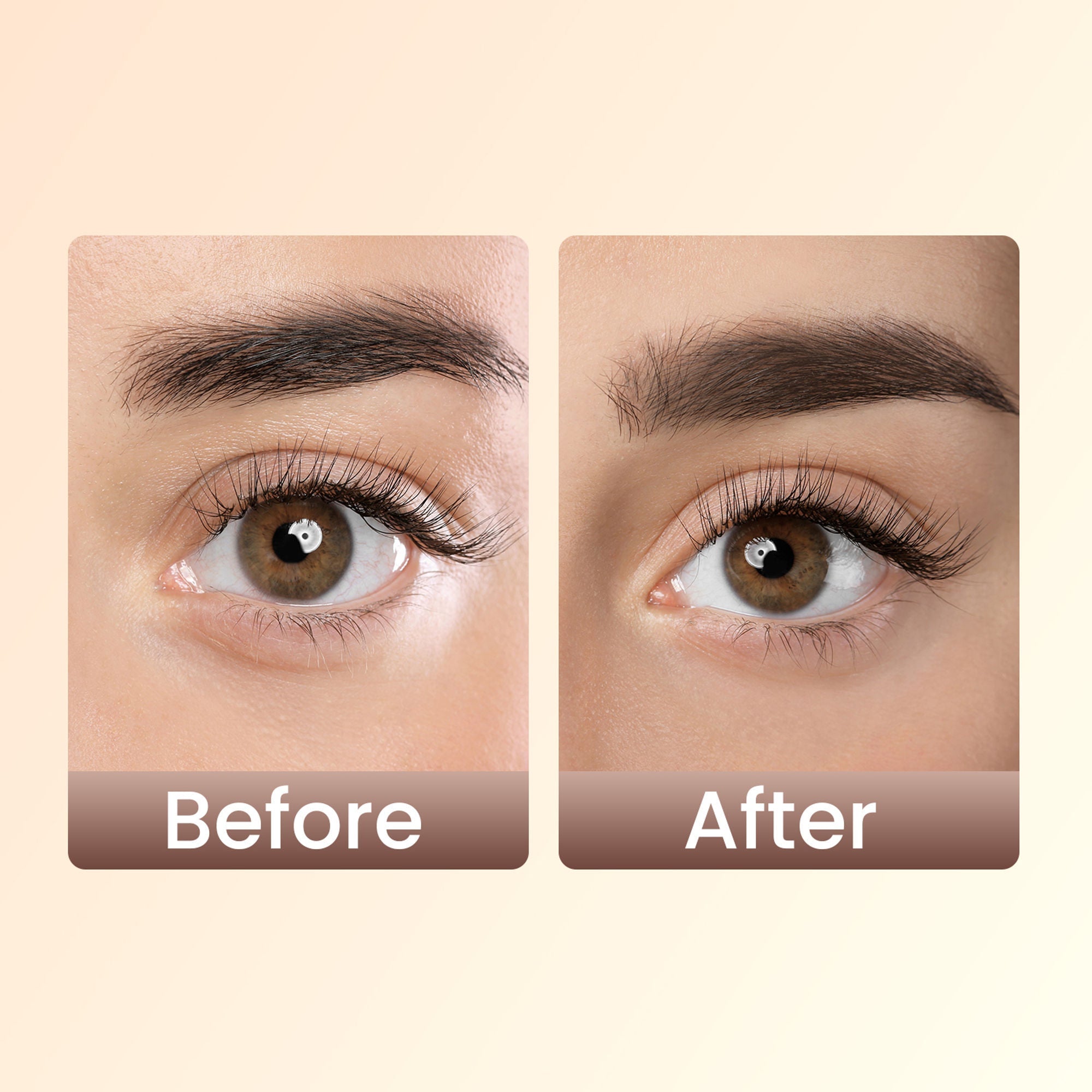 Swiss Beauty Brow Definer Pencil - 04 Black