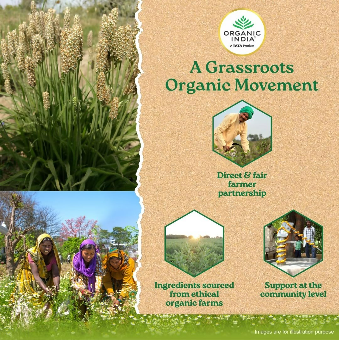 Organic India Sat Isabgol Psyllium Whole Husk Powder