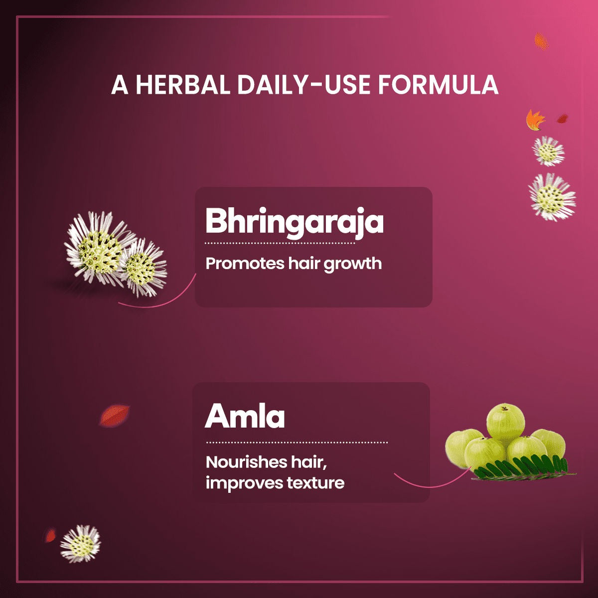 Himalaya Herbals Anti Hair Fall Cream for Men