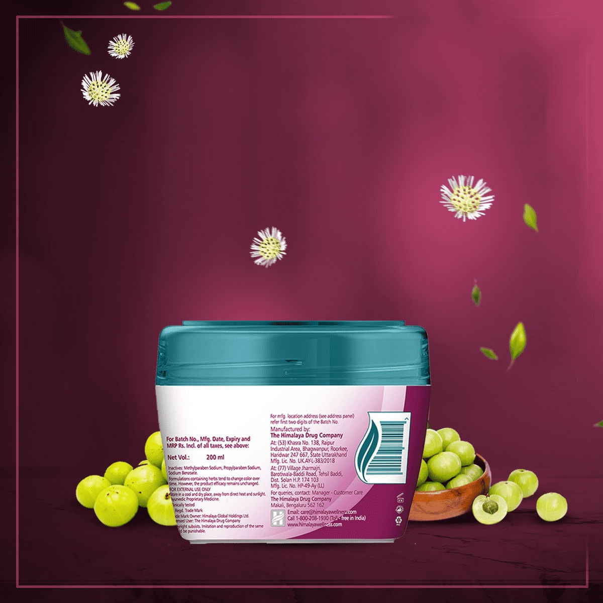 Himalaya Herbals Anti Hair Fall Cream for Men