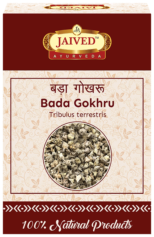 Jaived Ayurveda Bada Gokhru