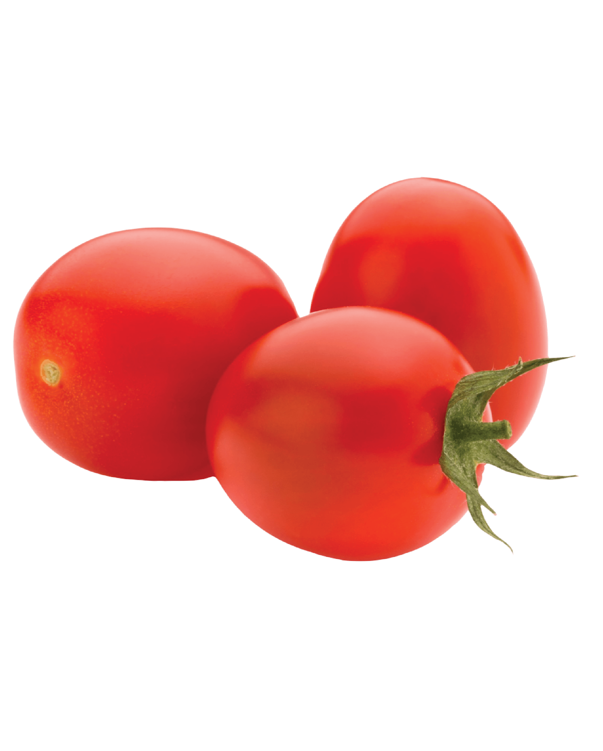 Roma Tomato