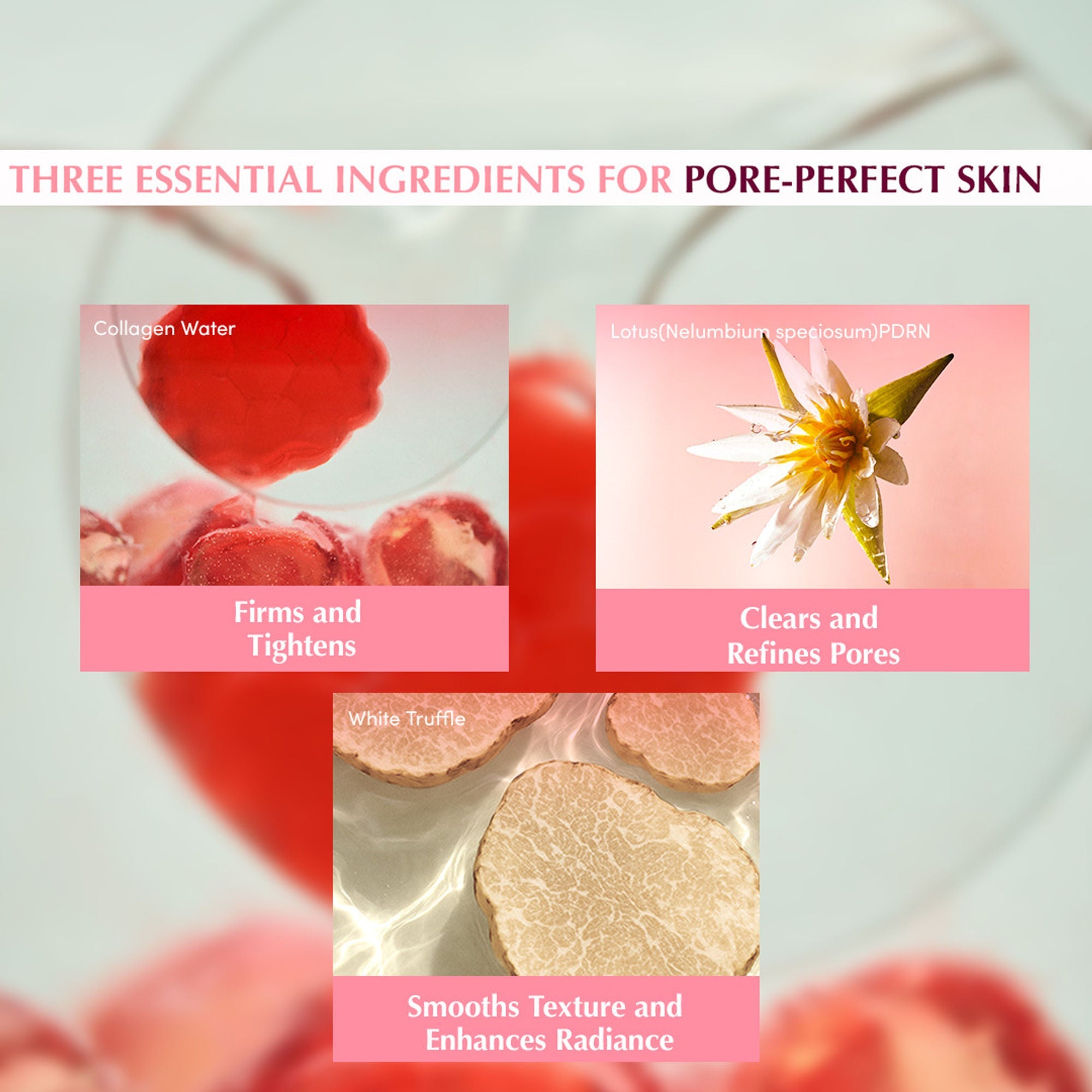 Eqqualberry Collagen Pore Tight-Up Gel Toner Pads – Hydrates & Refines Pores