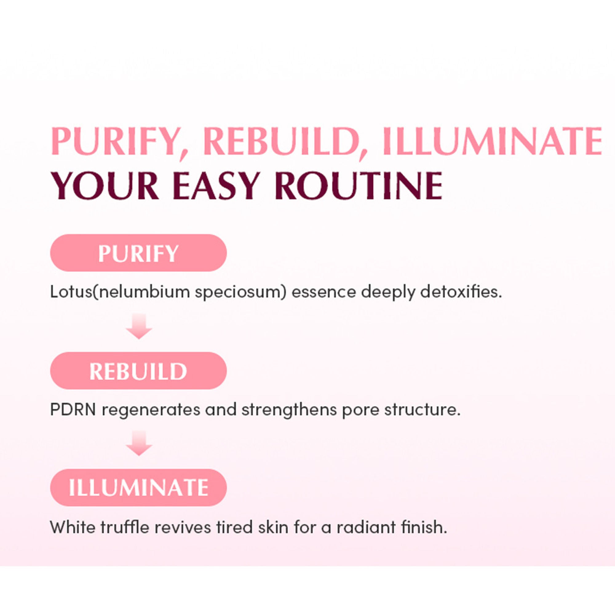 Eqqualberry Collagen Pore Tight-Up Gel Toner Pads – Hydrates & Refines Pores