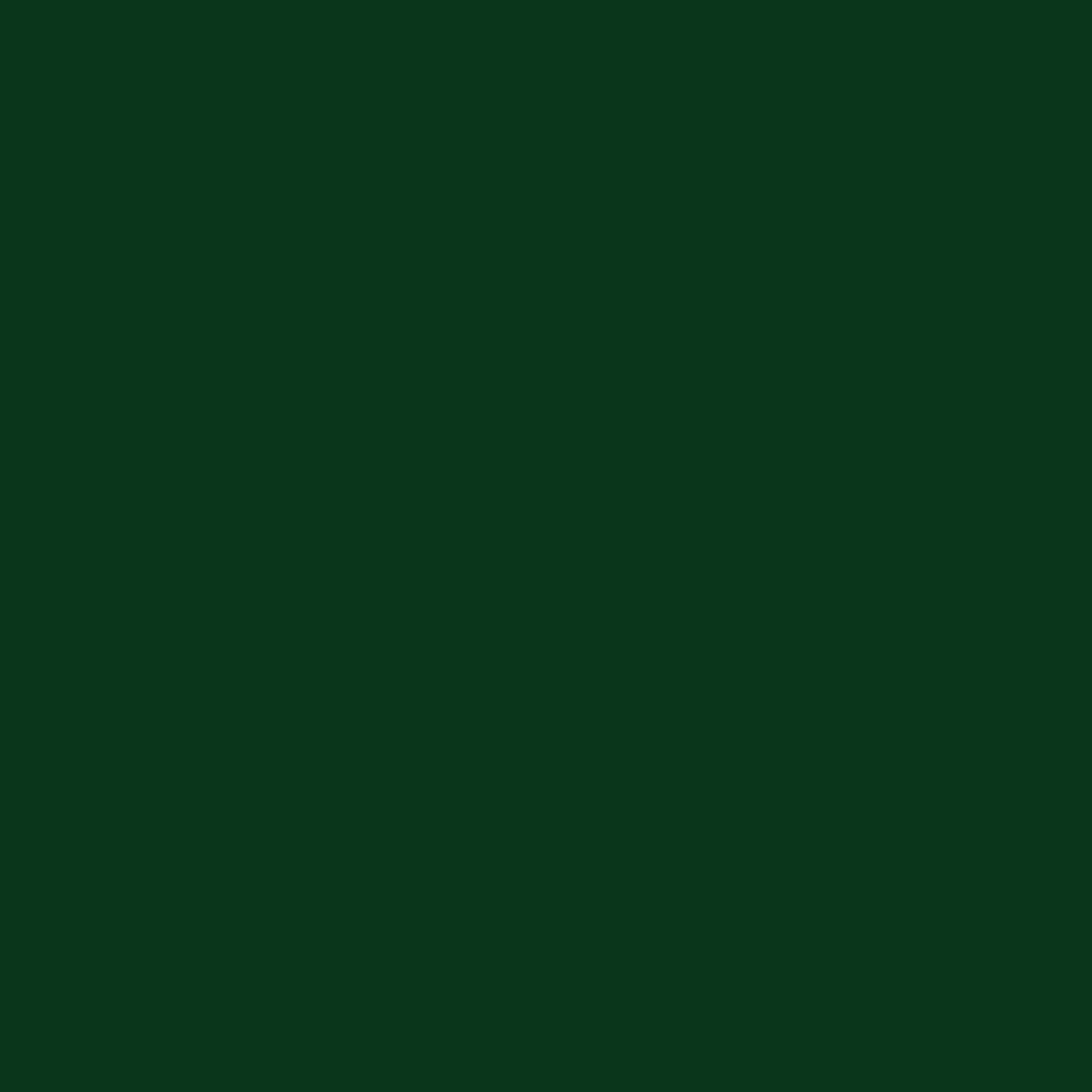 KINDED Liquid Eye Liner - Dapper Green