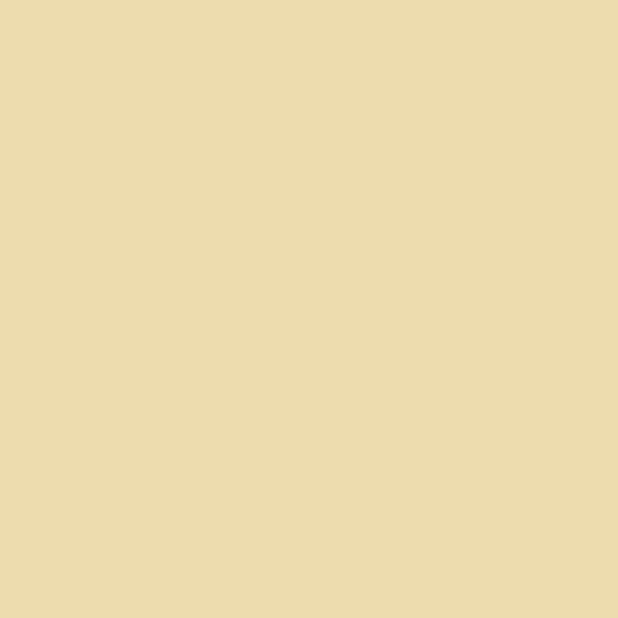 KINDED Liquid Concealer - Yellow Tone