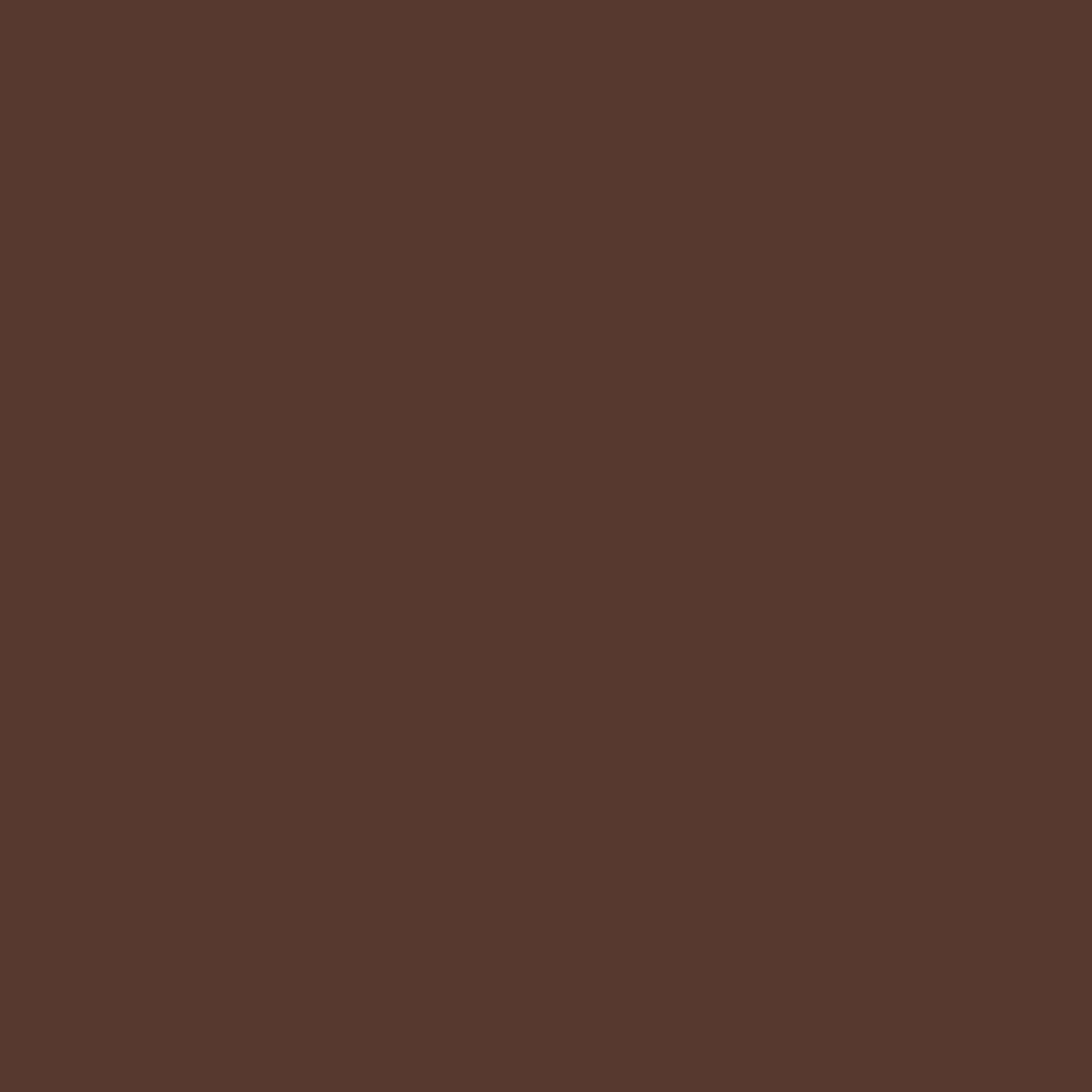 KINDED Liquid Lip Colour Lipstick Lip Gloss - 07 Choco Brown