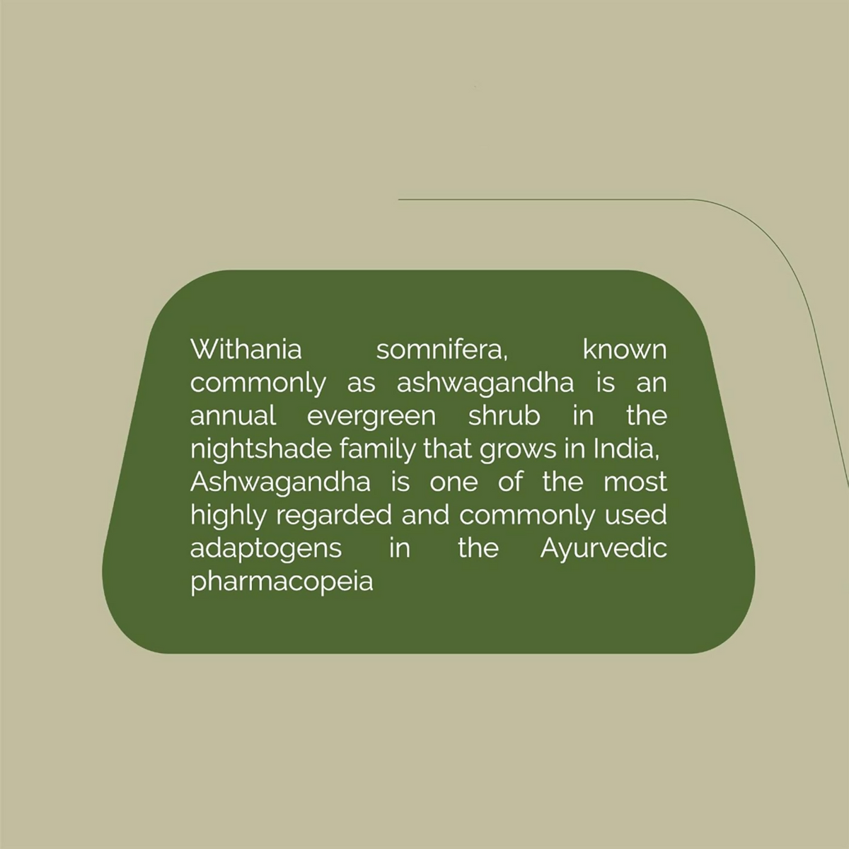 Rajah Ayurveda Ashwagandha Tablets