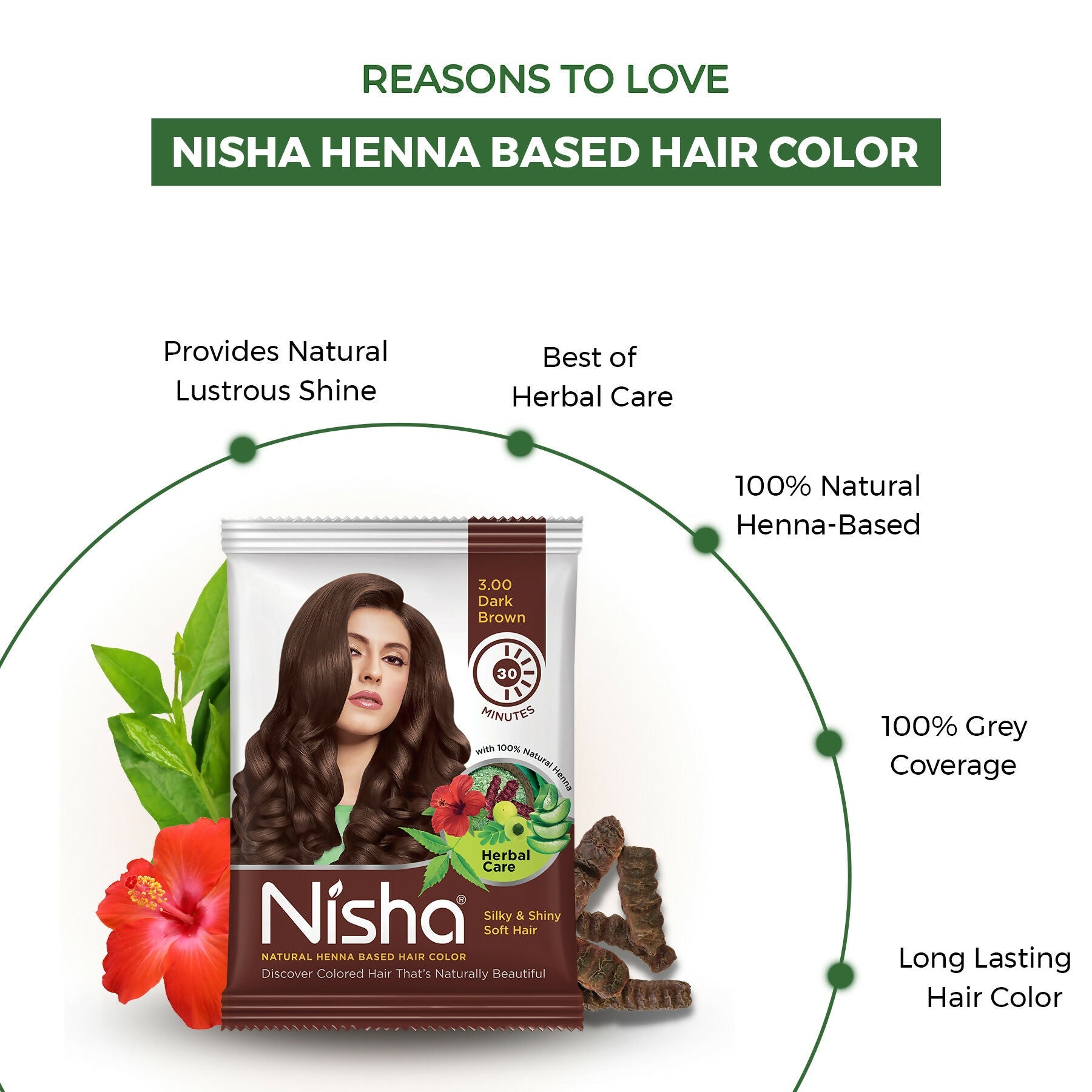 Nisha Henna Based Hair Colour for Women & Men - Dark Brown (Pack of 10)