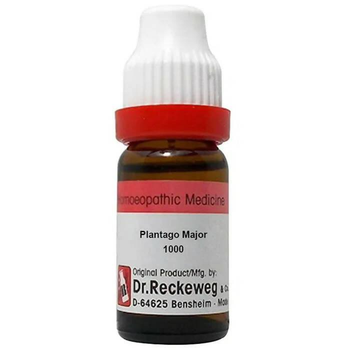 Dr. Reckeweg Plantago Major Dilution